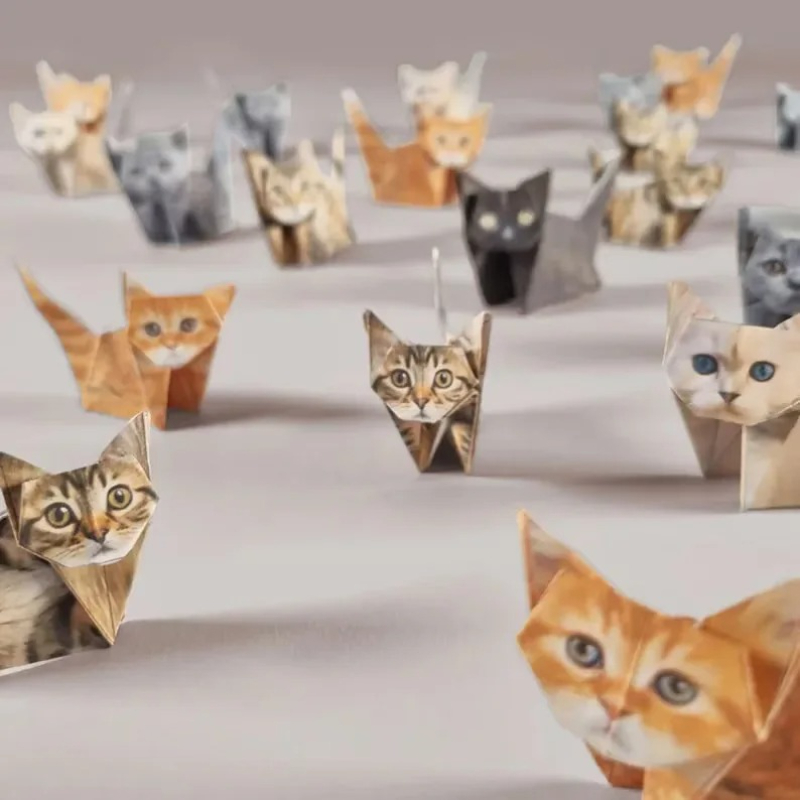 Creative DIY Paper Cats 50 She - Art Craft Dinosaur review and price