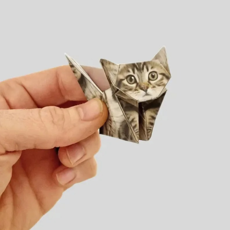 Creative DIY Paper Cats 50 She - Art Craft Dinosaur review and price