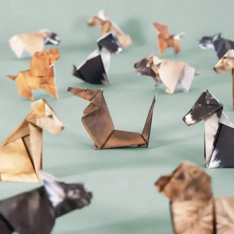 Creative DIY Paper Cats 50 She - Art Craft Dinosaur review and price