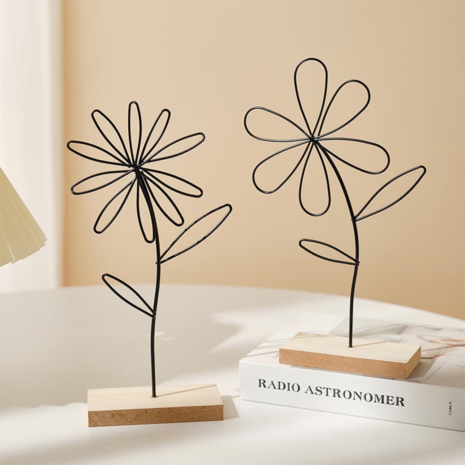 Iron Desktop Art - Rustproof F - Art Craft Cafe review and price